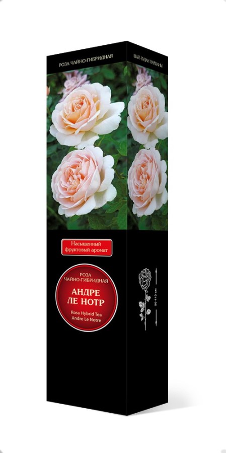 Купить Роза чайно-гибридная Андре Ле Нотр 1шт от 610 руб.