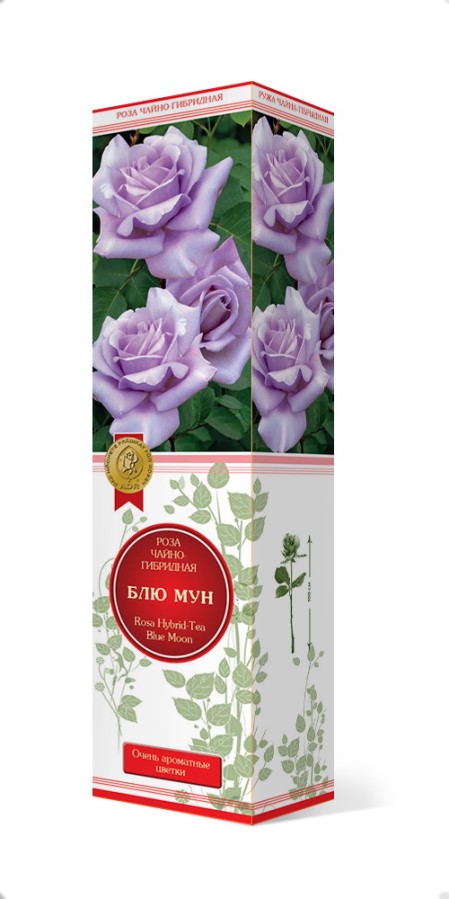 Купить Роза чайно-гибридная Блю Мун 1 шт. от 320 руб.