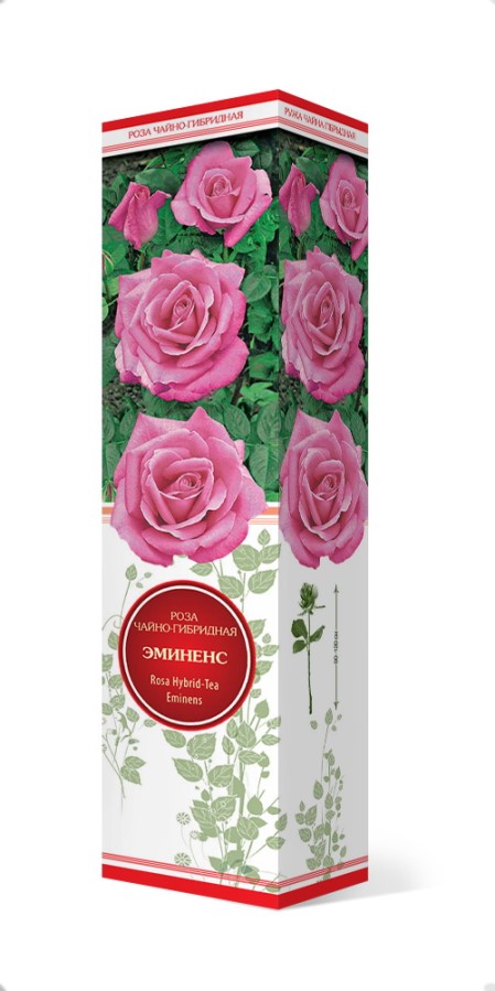 Купить Роза чайно-гибридная Эминенс  1 шт. от 270 руб.