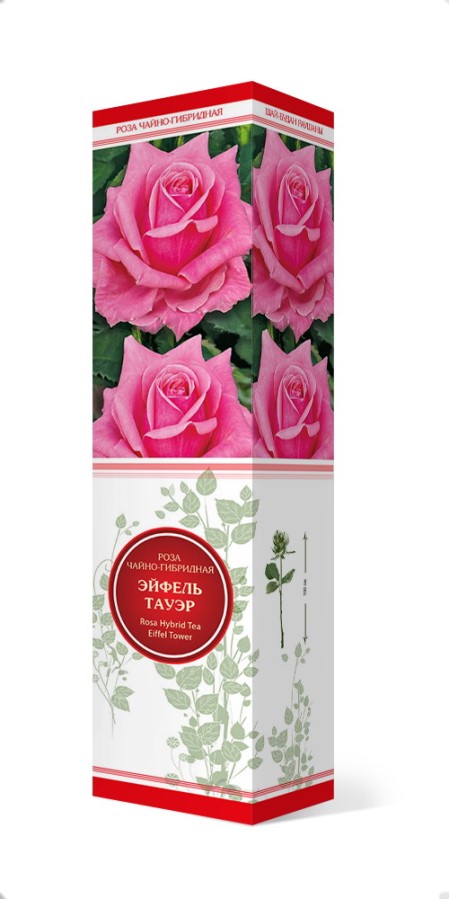 Купить Роза чайно-гибридная Эйфель Тауэр  1 шт. от 300 руб.
