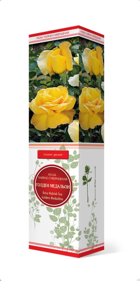 Купить Роза чайно-гибридная Голден Медальон 1 шт. от 270 руб.