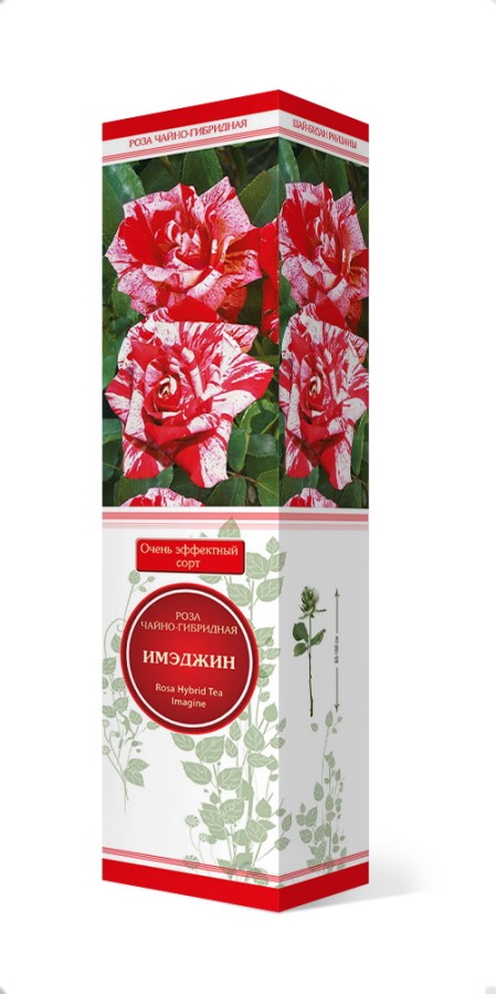 Купить Роза чайно-гибридная Имэджин   1 шт. от 415 руб.