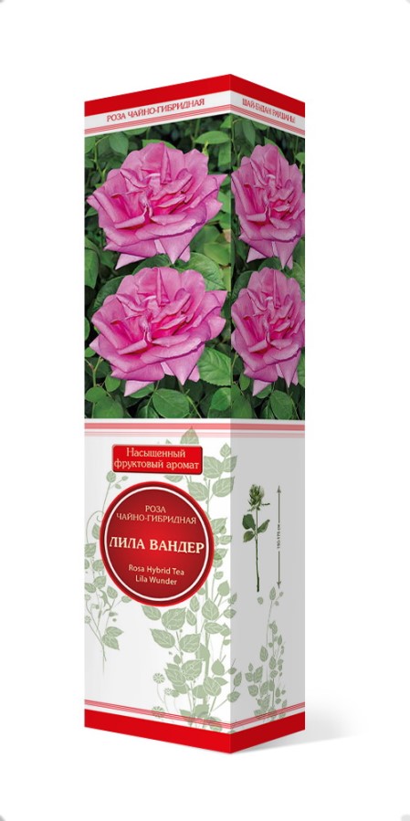 Купить Роза чайно-гибридная Лила Вандер 1 шт. от 314 руб.