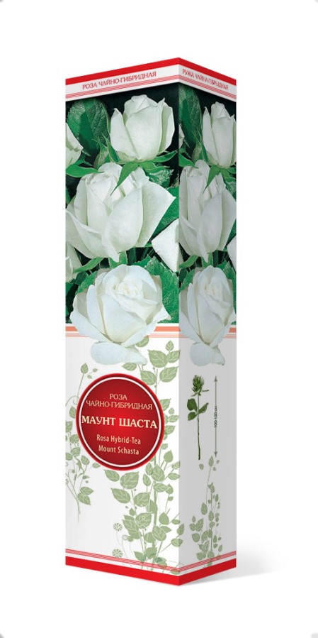 Купить Роза чайно-гибридная Маунт Шаста 1 шт. от 270 руб.