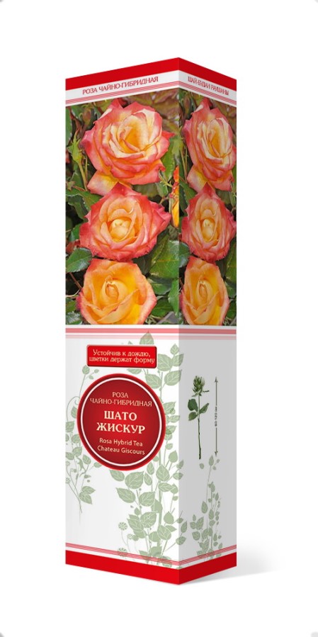 Купить Роза чайно-гибридная Шато Жискур 1шт. от 275 руб.