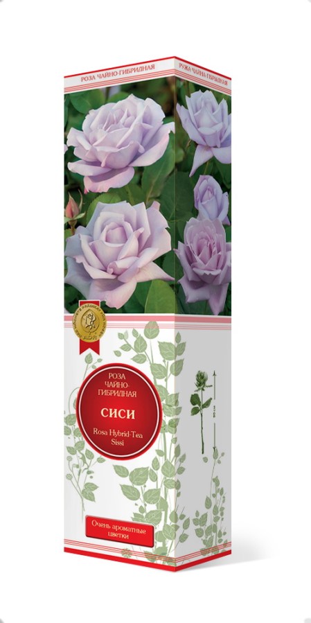 Купить Роза чайно-гибридная Си-Си (Глория Дей)   1 шт. от 270 руб.