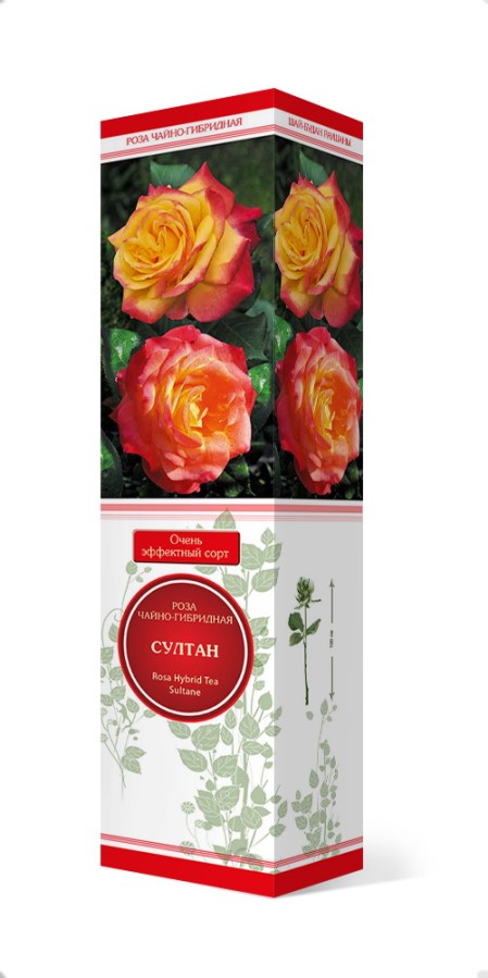 Купить Роза чайно-гибридная Султан   1 шт. от 415 руб.