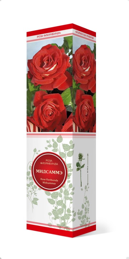 Купить Роза флорибунда Мидсаммэ 1шт. от 320 руб.