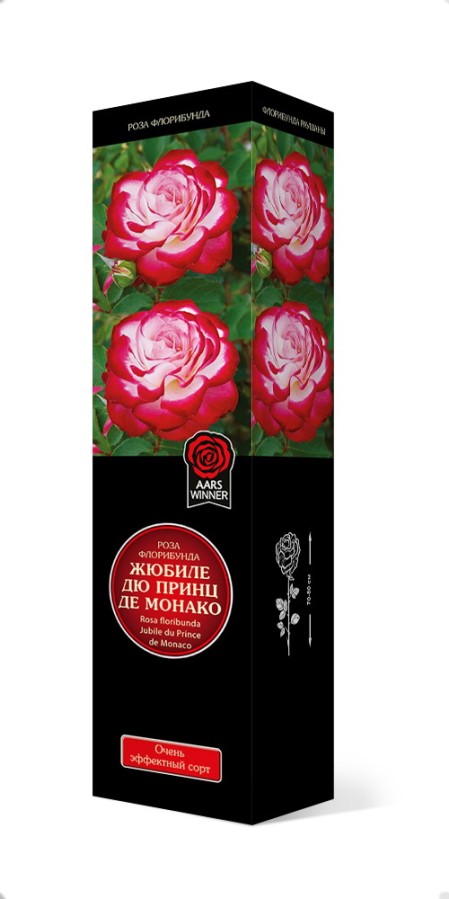 Купить Роза флорибунда Жюбиле дю принц де монако 1шт. от 550 руб.