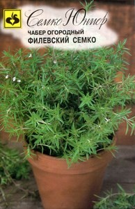 Купить Чабер огородный Филевский Семко 0,2гр. от 28 руб.