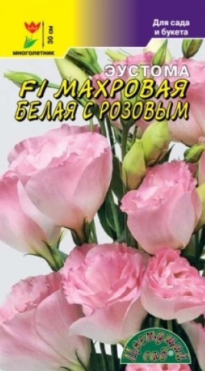 Купить Эустома F1 Махровая Белая с розовым  5 шт. от 48 руб.