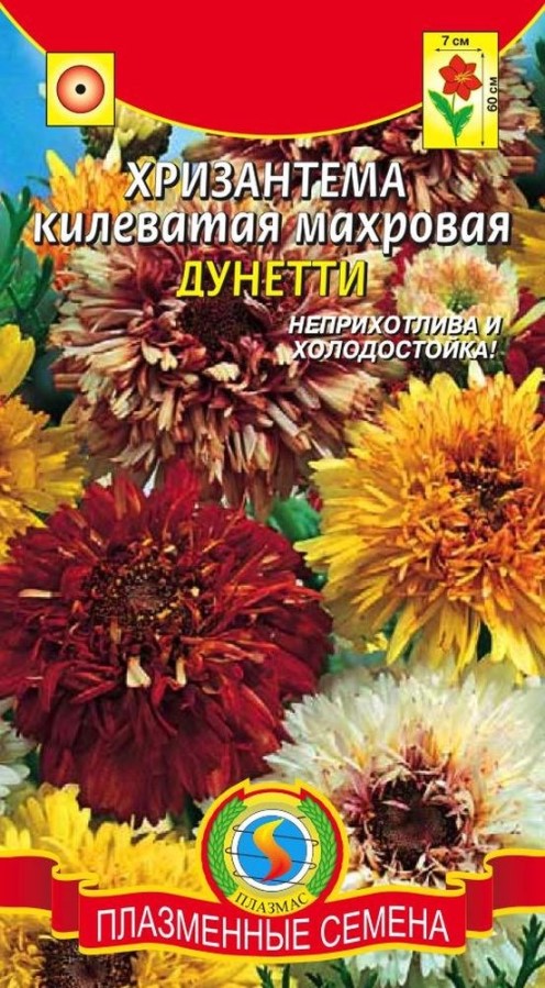 Купить Хризантема килеватая махровая Дунетти 0,2г от 10 руб.