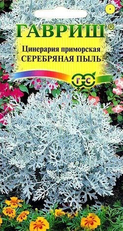Купить Цинерария приморская Серебряная пыль* 0,05 г от 21 руб.