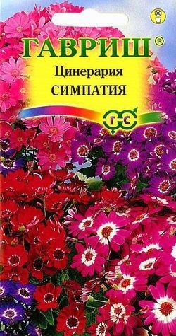 Купить Цинерария цветущая гибридная Симпатия* 8 шт. от 27 руб.